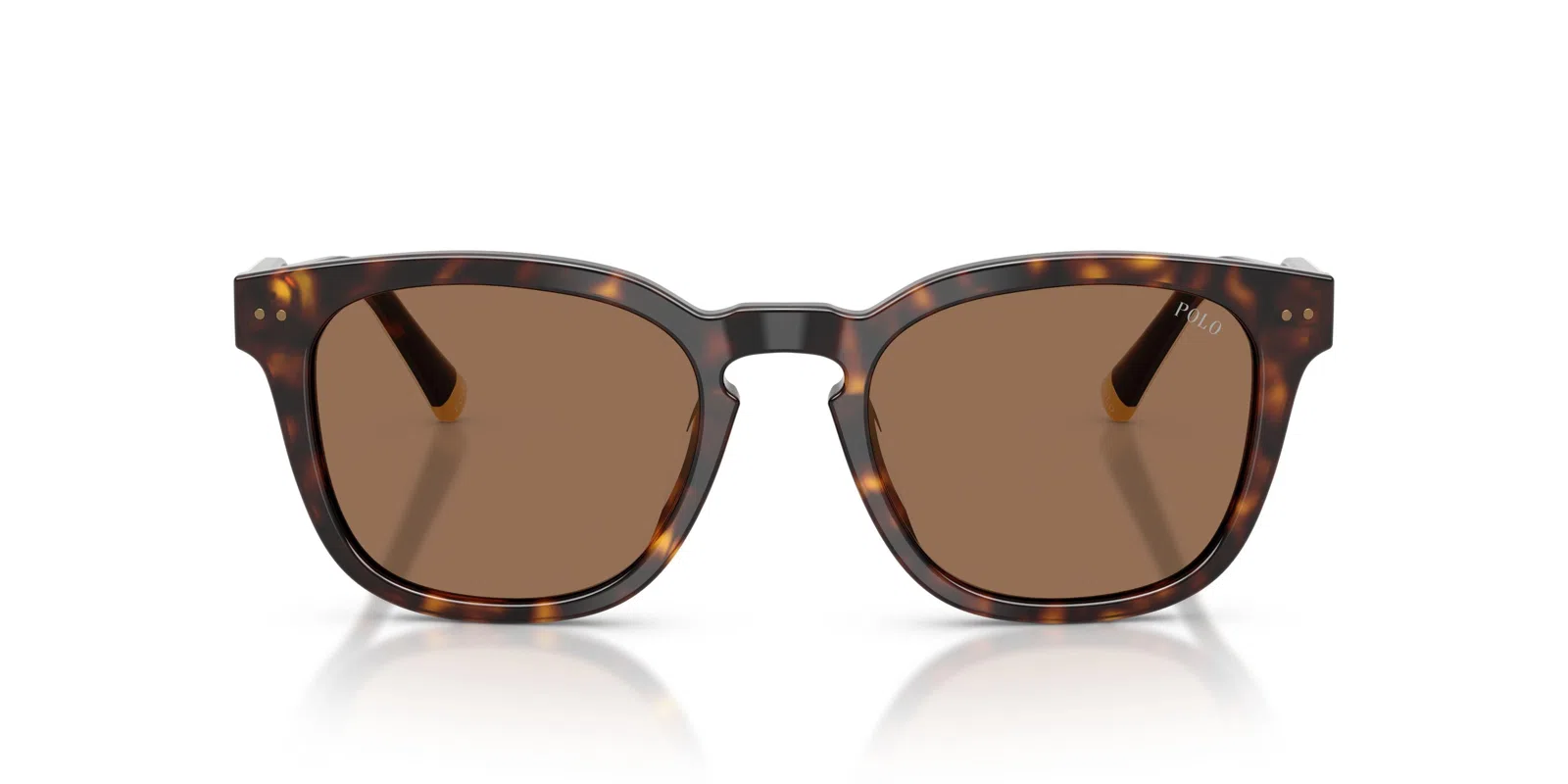 Polo 4242U Sunglasses - view 14